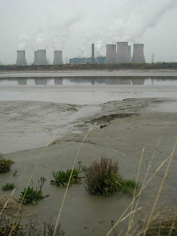 View from Astmoor saltmarsh across saltmarsh and intertidal mudflats to Fiddlers Ferry power station